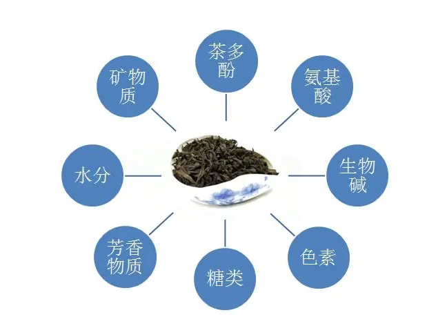 喝茶對人的身體有什么好處嗎？什么人不能喝茶？