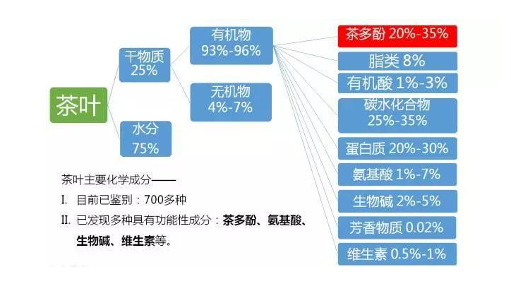 喝茶可以養(yǎng)生，哪種茶最健康呢？