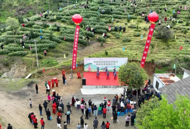 4月6日霞西鎮(zhèn)首屆茶葉采摘節(jié)成功舉辦