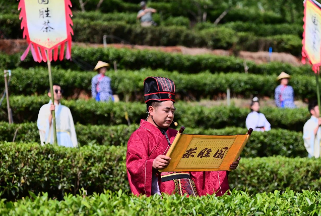 2024年4月13日攀枝花鹽邊國勝茶采摘季系列活動舉行